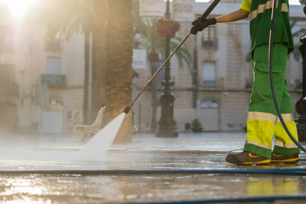 Best Deck Cleaning Services  in Pine Level, AL