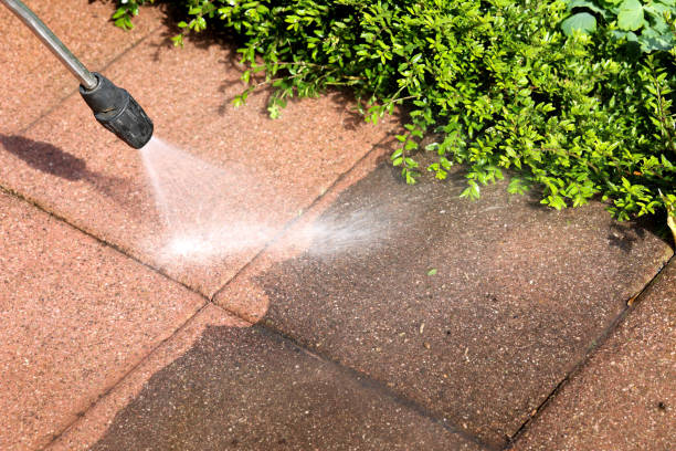 Why Choose Our Certified Pressure Washing Experts for Your Project Needs in Pine Level, AL?